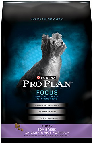 381413 5 Oz Pro Plan Focus Toy Breed Puppy - Pack Of 5