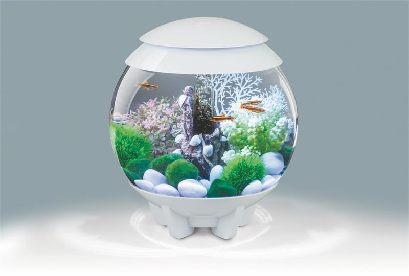 227001 4 Gal Biorb Halo 15 Aquarium With Mcr Lighting - White