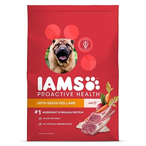 109086 15 Lbs Proactive Health Dry Dog Food For All Dogs, Lamb & Rice