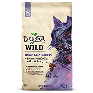 178541 5 Lbs Beyond Wild, Turkey & Freeze Dried Bites With Chicken Dry Cat Food - Pack Of 4