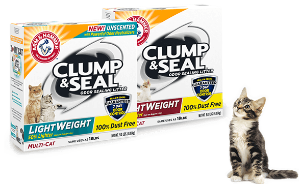 GTIN 033200001928 product image for 718026 20 lbs Arm & Hammer Clump & Seal Light Weight Multi Cat Litter | upcitemdb.com
