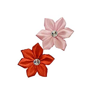 077349 Flowers Pet Appare - Pink & Red, Extra Small & Small - 2 Piece