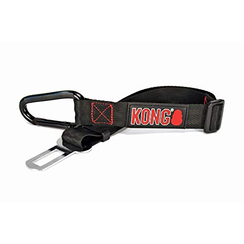 810009 Kong Seat Belt Dog Tether