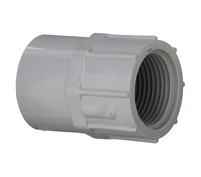 UPC 622454770430 product image for E35100 1 in. PVC Conduit Female Adapter | upcitemdb.com