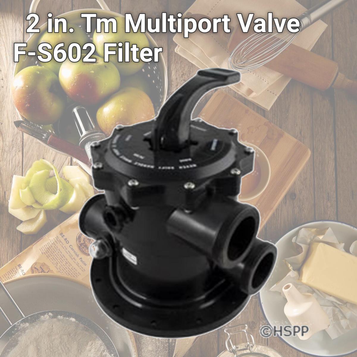 Picture of Waterco USA 228053 2 in. Tm Multiport Valve F-S602 Filter