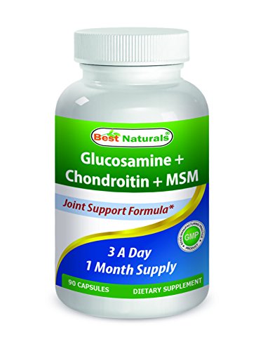 614021 Glucosamine Chondroitin Msm 90 Capsule