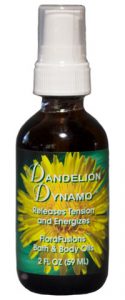 702420 2 Oz Dandelion Dynamo Oil - 12 Per Case