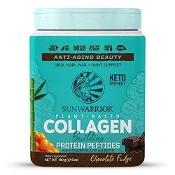 707653 17.5 Oz Collagen Building Protein Chocolate Fudge