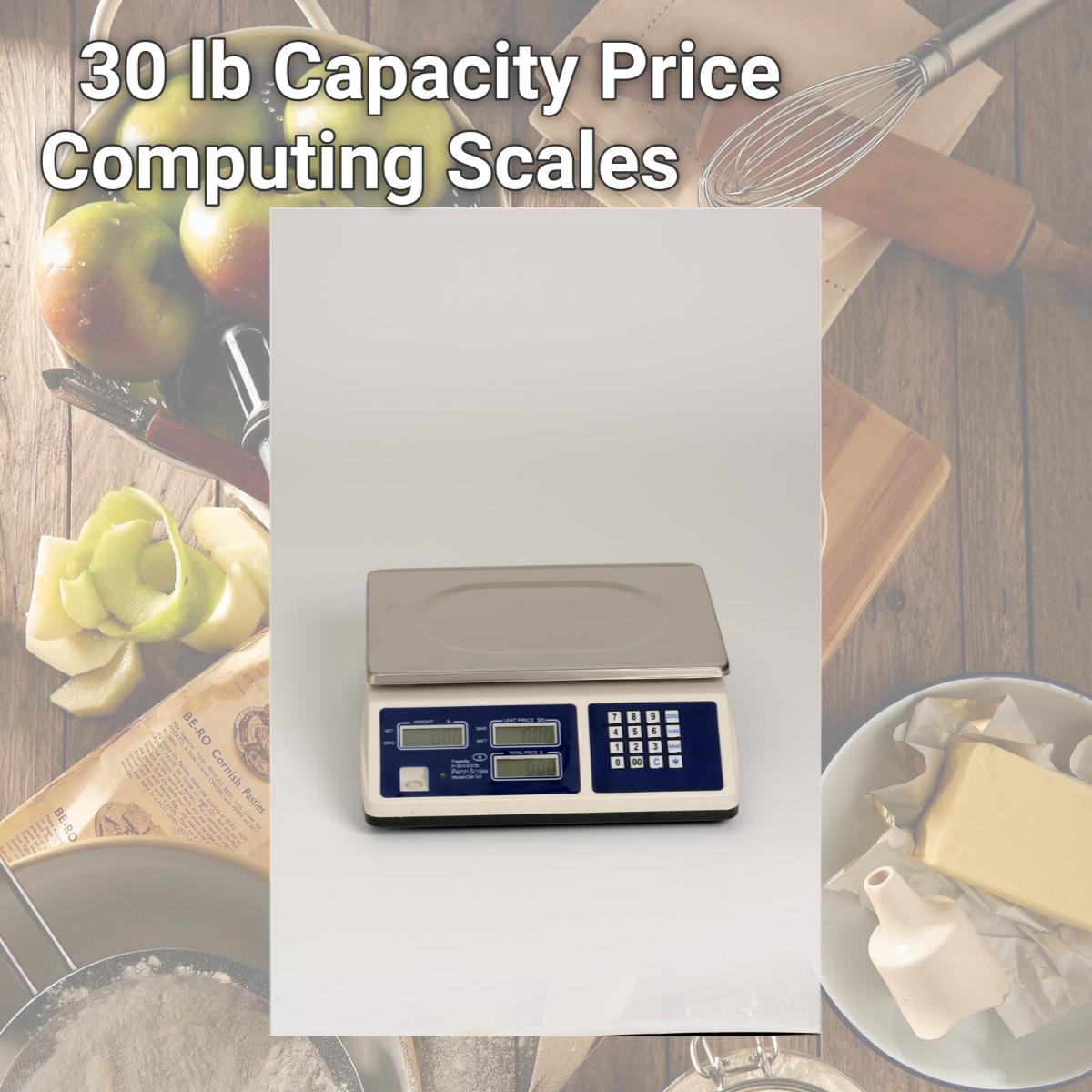 Picture of Penn Scale CM-101 30 lb Capacity Price Computing Scales