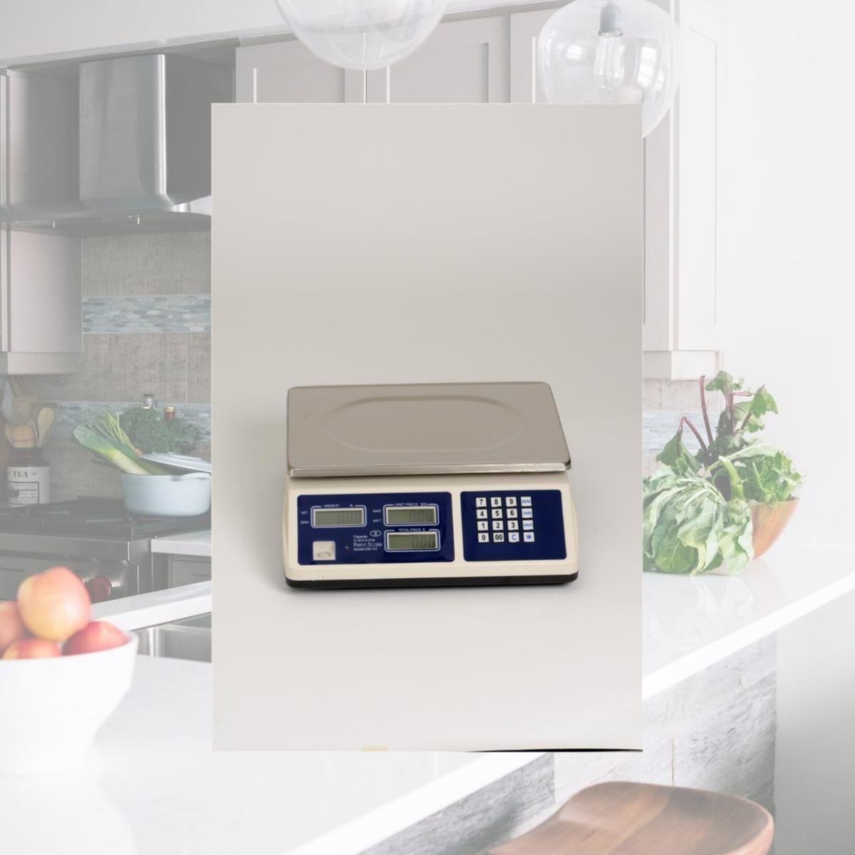 Picture of Penn Scale CM-101 30 lb Capacity Price Computing Scales