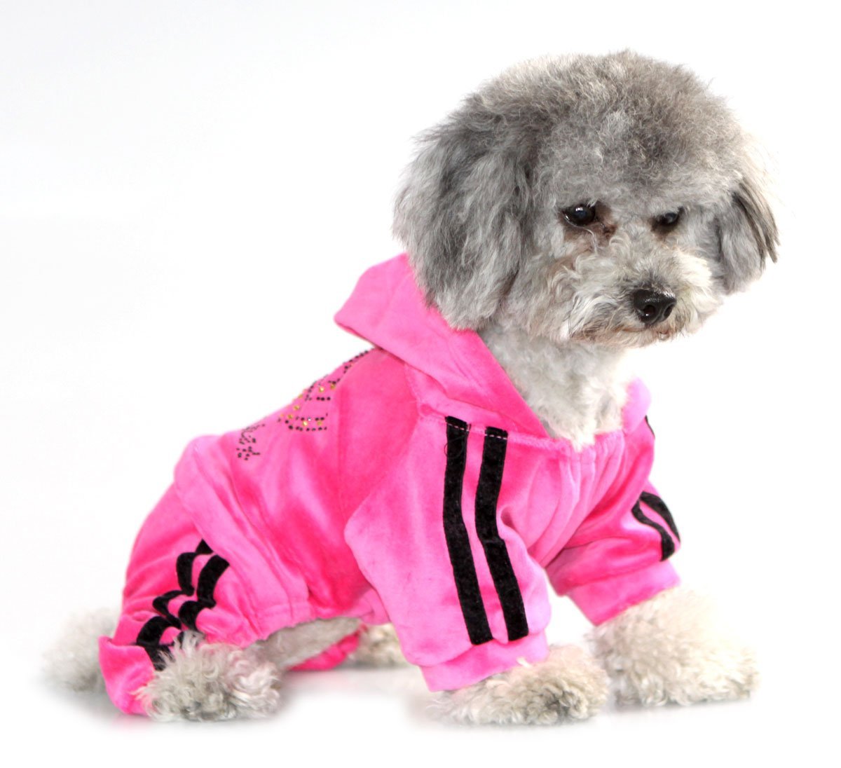 Dgdog-p-xs Dog Jump Suit, Pink - Extra Small