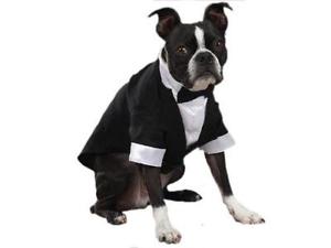 Doggy Tuxedo, Medium