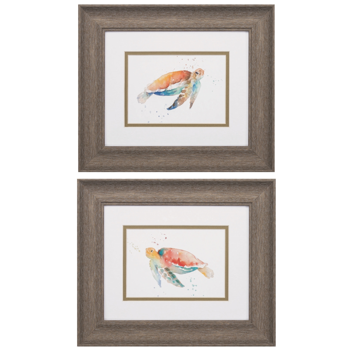 1050 Sea Turtle Photo Frame - Pack Of 2