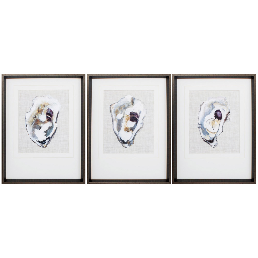 3425 Oyster Shell Study Wall Art - Pack Of 3