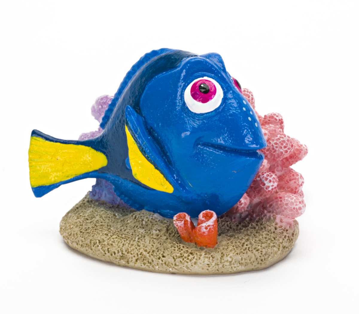 Dory With Coral - Small