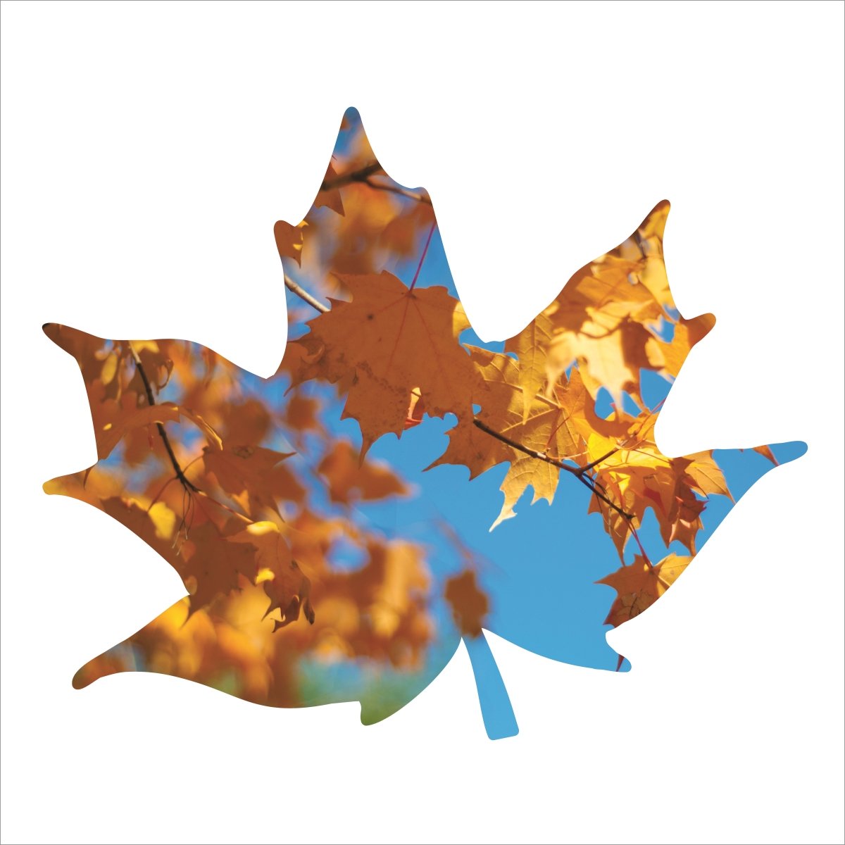 Mapleleaf-18fallleaf 18 In. Seasonal Maple Leaf Silhouette Metal Laser Cut Wall Art With Striking Images Of Fall Maple Leaves