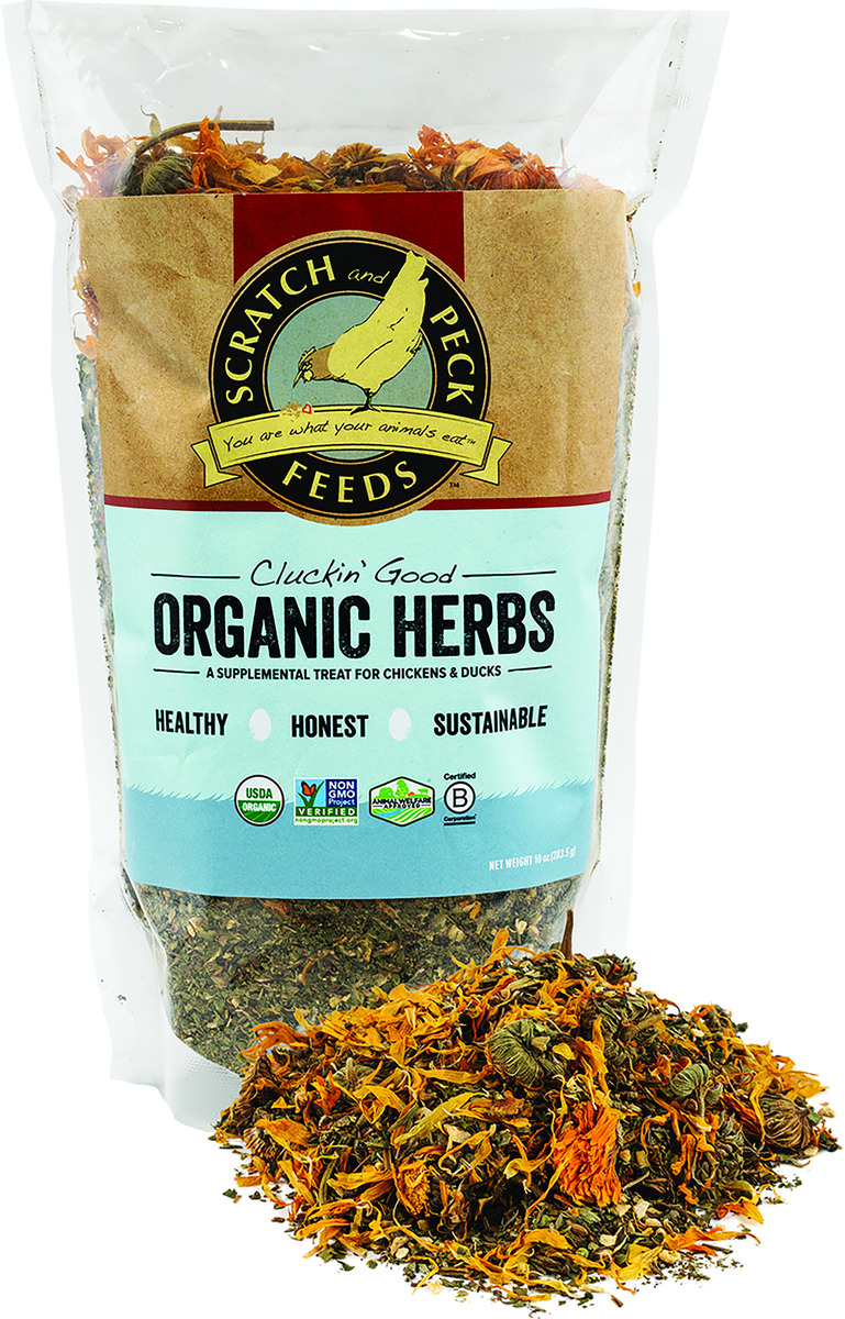 UPC 609224799853 product image for 11867 10 oz Cluckin Good Herbs  - Master Pack 6 | upcitemdb.com