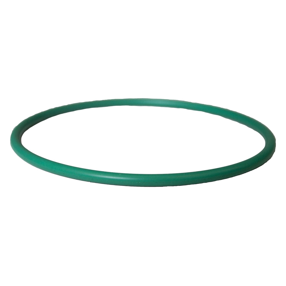 CG807 Fuel Pump Flange Gasket for 2004-2023 Ford F150