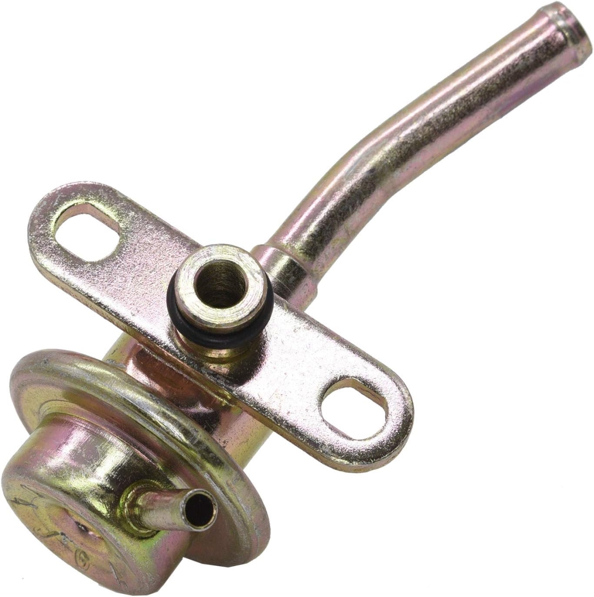 2551031 Carburetor & Fuel Injection Repair Kit