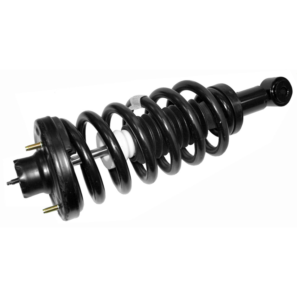 UPC 048598028211 product image for 171370 Rear Strut Assembly for 2003-2006 Ford Expedition | upcitemdb.com