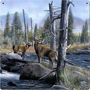 12 X 12 In. Deer On River Satin Metal Sign