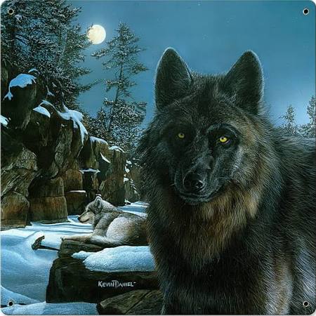 Kda023 24 X 24 In. Wolf In Moon Shadow Plasma Metal Sign