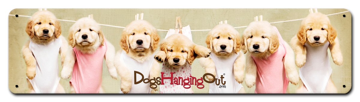 Dho002 20 X 5 In. Seven Dogs Satin Metal Sign