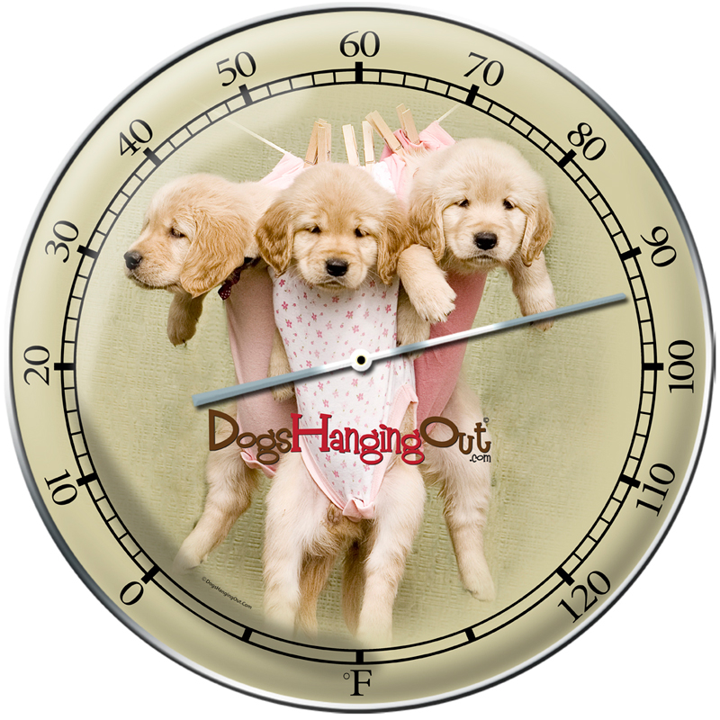 Dho005 14 In. Three Dogs Round Metal Sign Thermometer