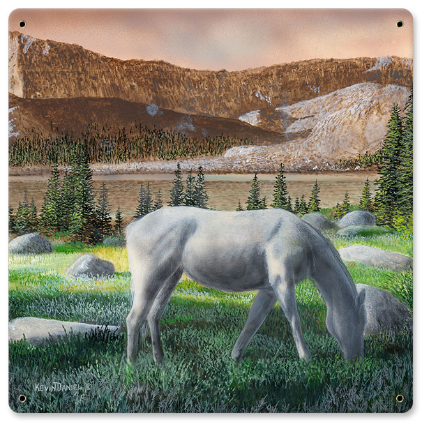 12 X 12 In. Horse Eating Grass Satin Metal Sign