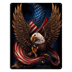 Flyland Designs By Brian Allen Fly013 18 X 12 In. Eagle & Flag Satin Metal Sign