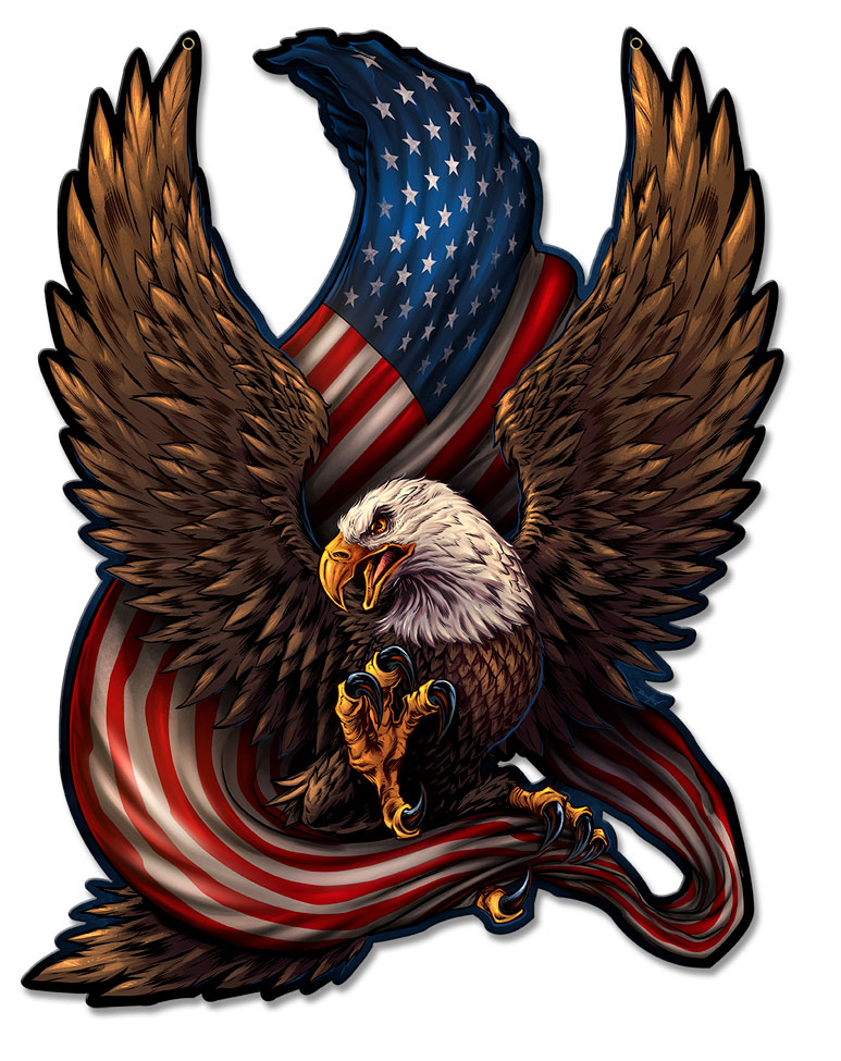 Fly028 Eagle & Flag Plasma Metal Sign - 13 X 17 In.