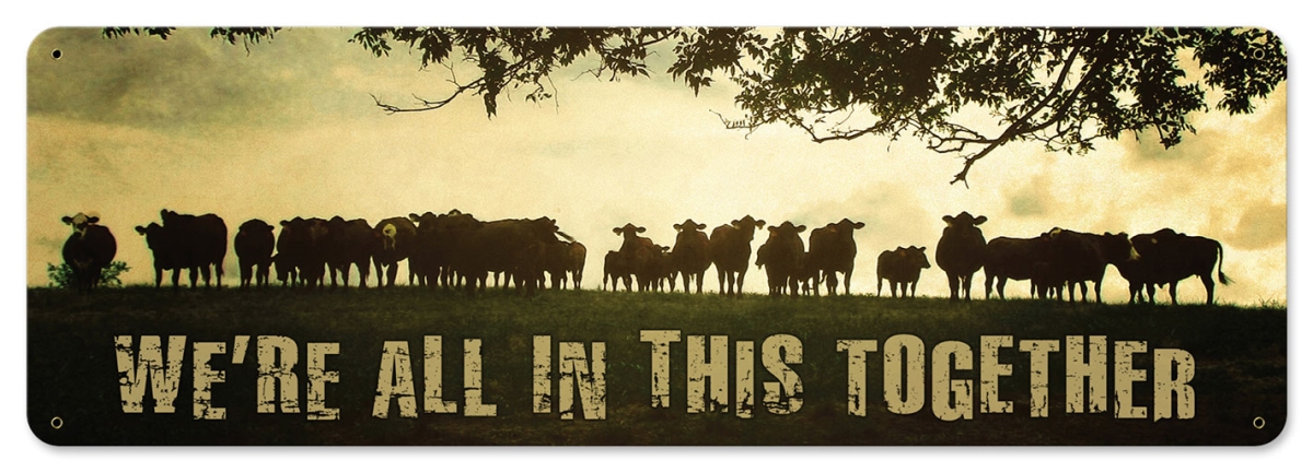 Aif164 24 X 8 In. Cows On Hill Satin Metal Sign