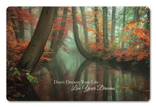 18 X 12 In. Live Your Dreams Satin Sign