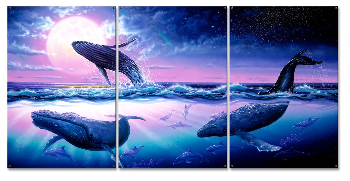 Sun049 30 X 15 In. Whale Journey Triptych Metal Sign