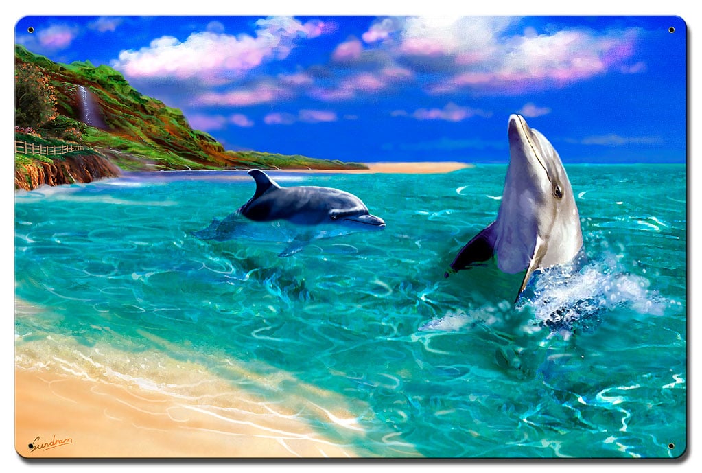 Sun071 16 X 24 In. Smiling Dolphin Satin Metal Sign