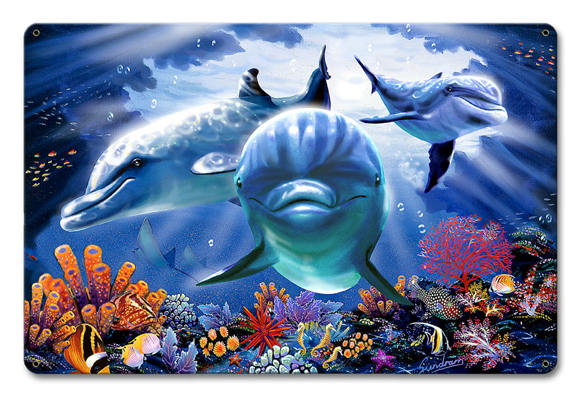 12 X 18 In. Dolphin Cave Satin Metal Sign