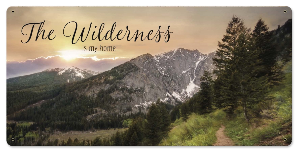 Lane234 24 X 12 In. The Wilderness Home Satin Metal Sign