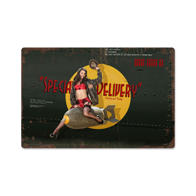 Ec006 18 X 12 In. Special Delivery Metal Sign