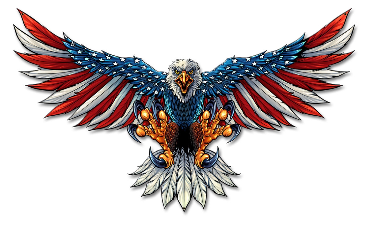 Fly044 21 X 12 In. Eagle With Us Flag Wings Spread Plasma Metal Sign