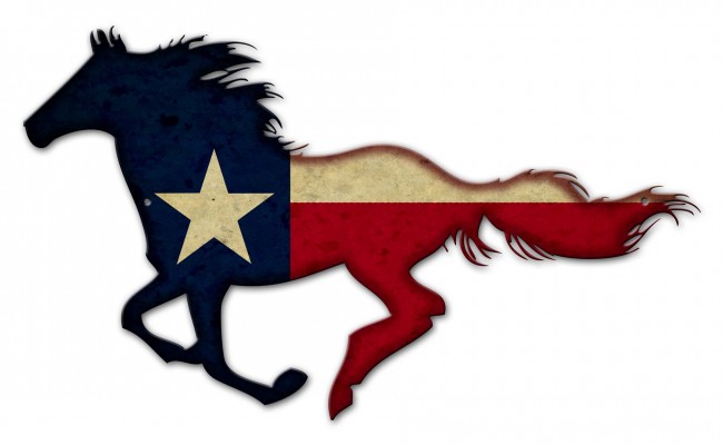 Ps959 24 X 15 In. Texas Horse Metal Sign