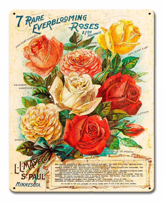 Ptsb158 12 X 15 In. Vintage Roses Metal Sign