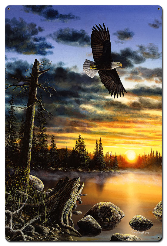 Jh205 24 X 36 In. Eagles King Domain Satin Metal Sign