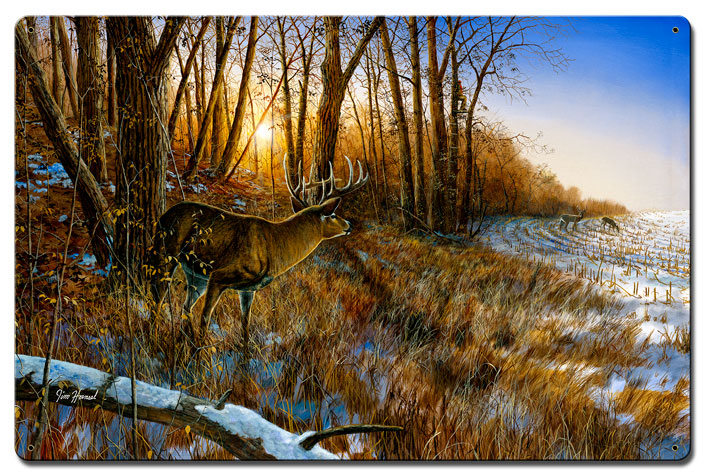 Jh253 16 X 24 In. Passing The Buck Satin Metal Sign