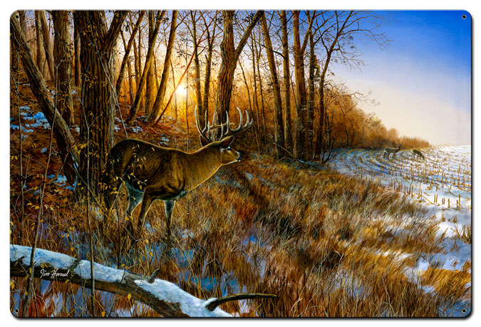 Jh254 24 X 36 In. Passing The Buck Satin Metal Sign