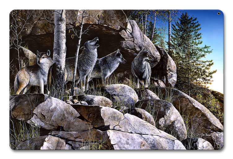 Jh273 12 X 18 In. Rocky Outpost Satin Metal Sign