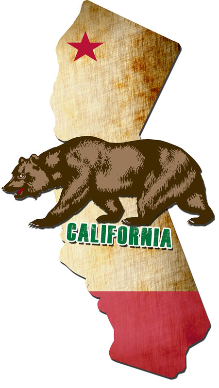 32 X 18 In. 3-d California Bear Plasma Metal Sign 3d