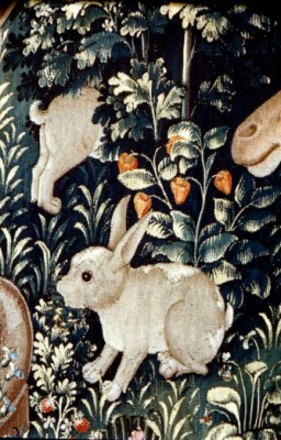 Sal90064853 Unicorn Tapestry - Rabbit Detail Tapestry Textiles Poster Print - 18 X 24 In.