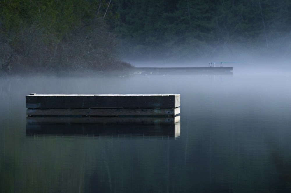 Misty Lake Poster Print by Raven Regan - 17 x 11