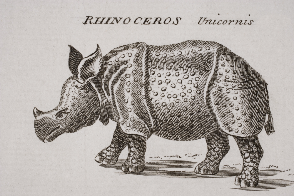 Dpi1857269 Rhinoceros Unicornis. Engraved By P. Halpin 18th Century Poster Print, 18 X 12