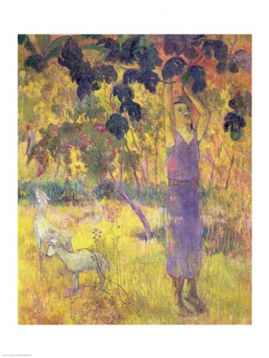 Balbal106357 Man Picking Fruit From A Tree 1897 Poster Print By Paul Gauguin - 18 X 24 In.